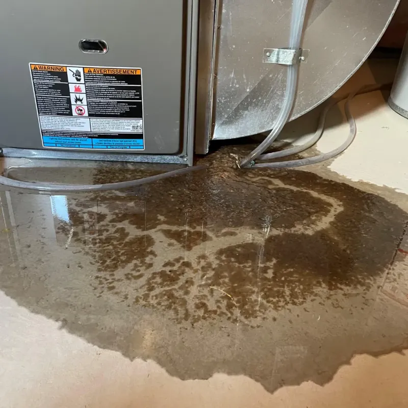 Appliance Leak Cleanup in Kensington, CT